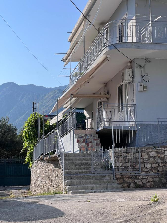 Privatunterkunft Dhoma Plazhi Husi